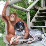 friends friends