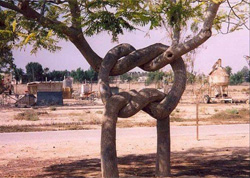 Growing Together